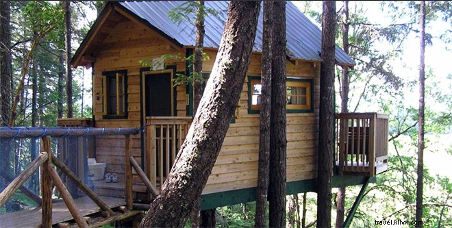 9 Exceptional Treehouse Hotels Across the U.S. for Unforgettable Stays